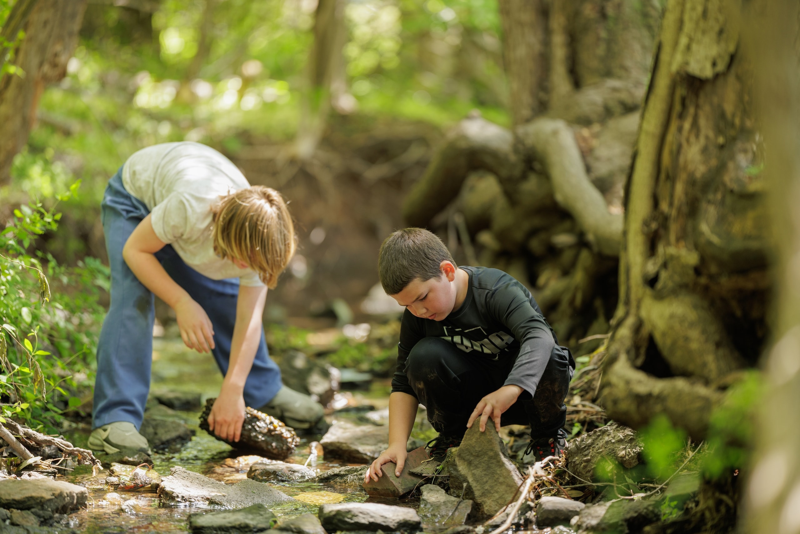 Students examining wildlife in a stream during an outdoor lesson